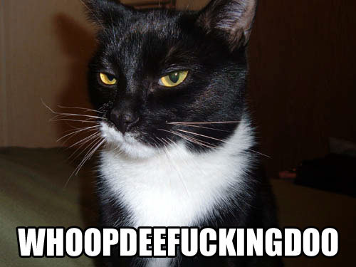 whoopdedoo.jpg